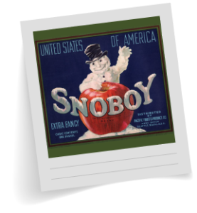 Snoboy ad